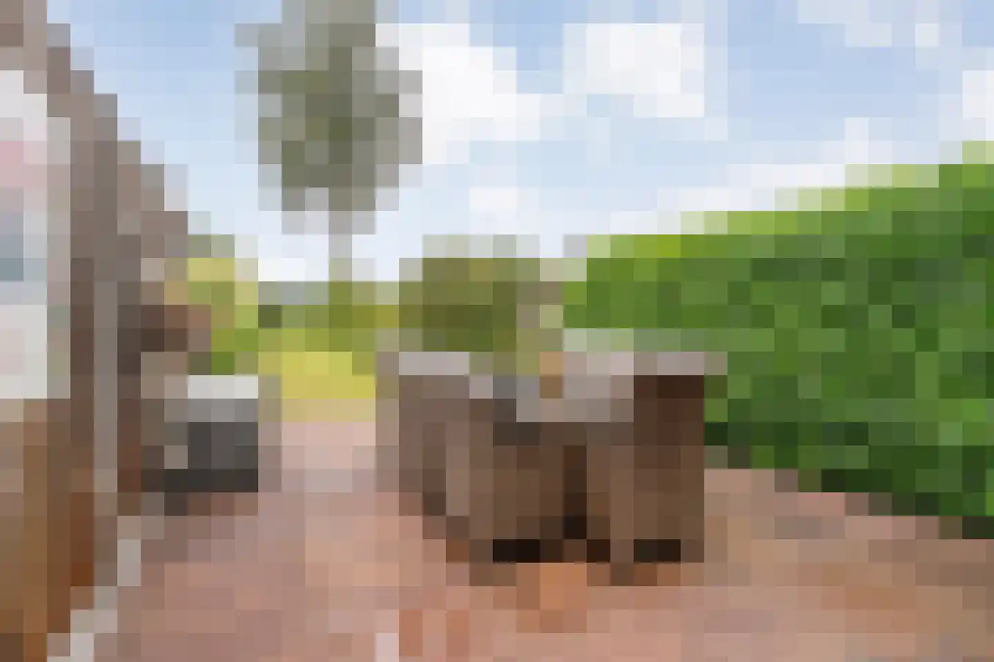 Saturnusstraat 64 Hardenberg thumbnail 38