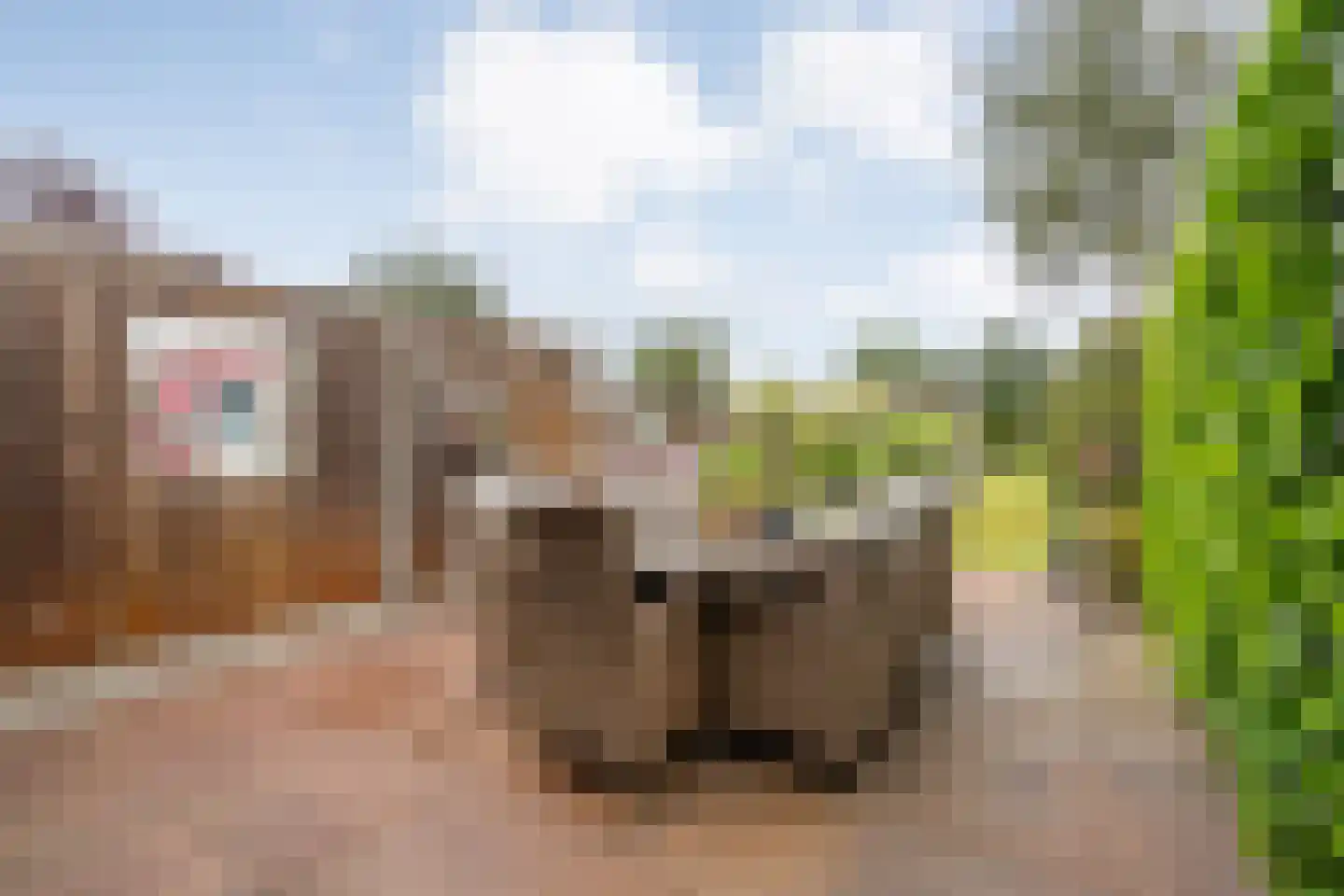 Saturnusstraat 64 Hardenberg thumbnail 39