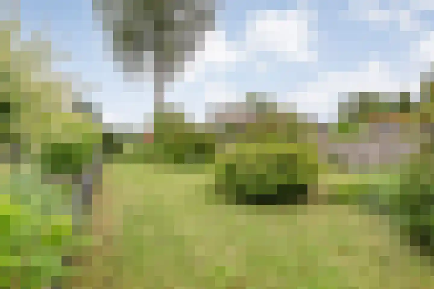 Saturnusstraat 64 Hardenberg thumbnail 41