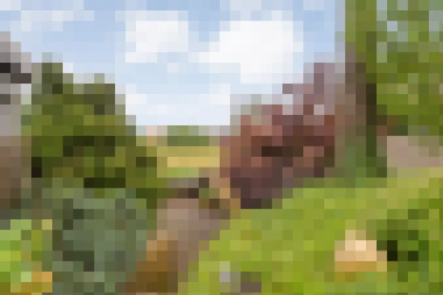Saturnusstraat 64 Hardenberg thumbnail 42