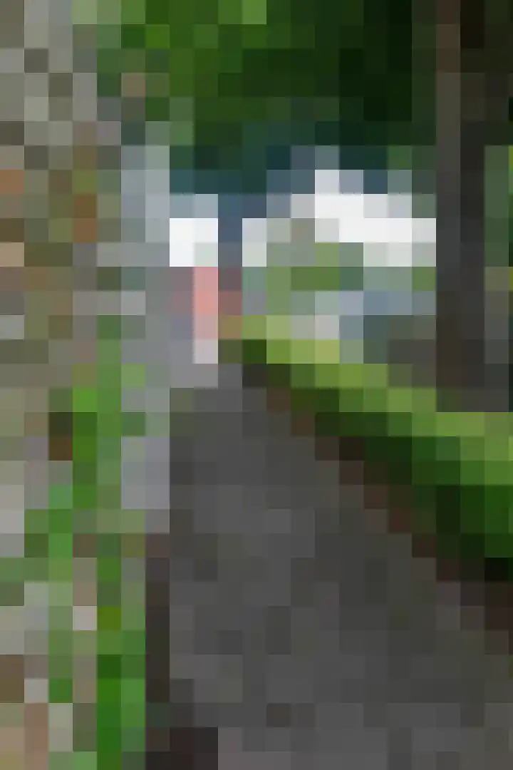 Saturnusstraat 69 Emmeloord thumbnail 18