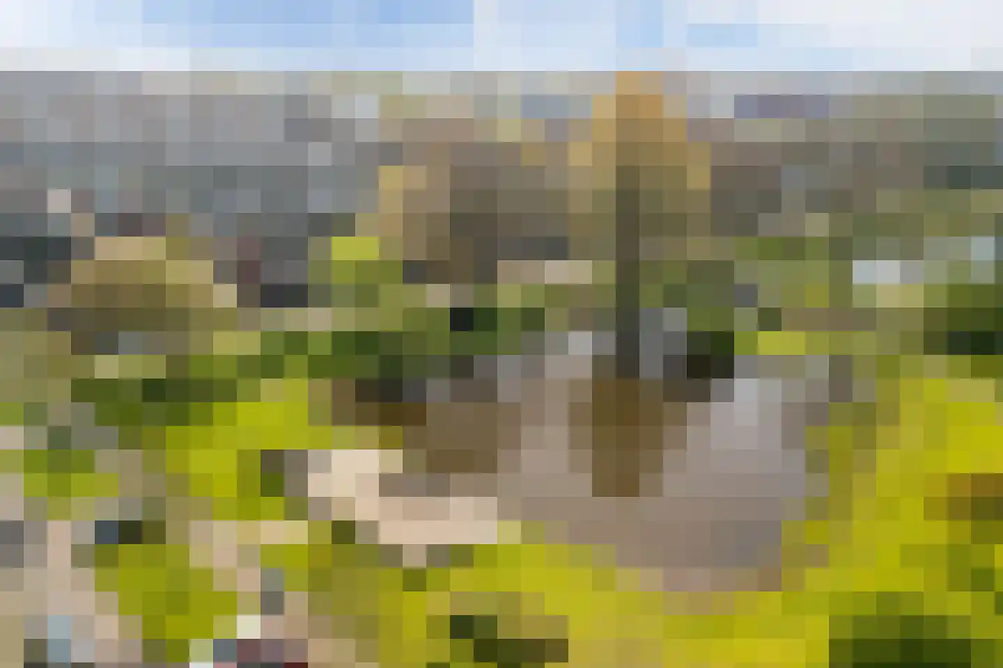Saturnusstraat 7 Alphen aan den Rijn thumbnail 5