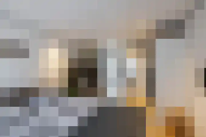 Saturnusstraat 7 Assen thumbnail 18