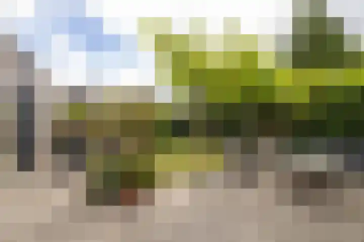 Saturnusstraat 7 Assen thumbnail 33