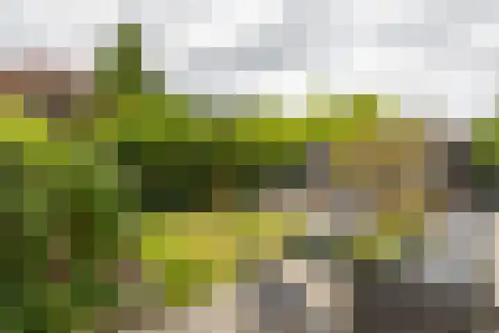 Saturnusstraat 7 Assen thumbnail 34