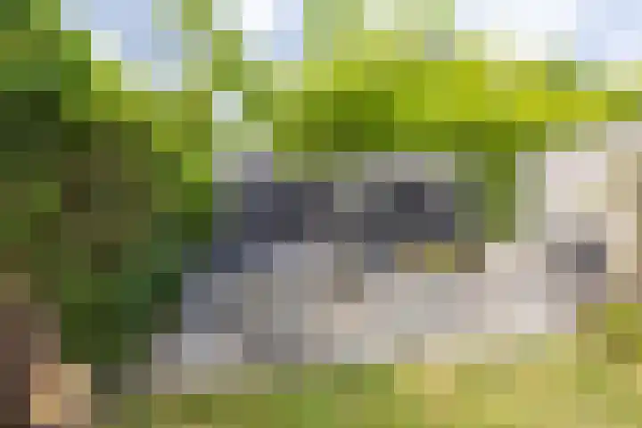 Saturnusstraat 7 Assen thumbnail 35
