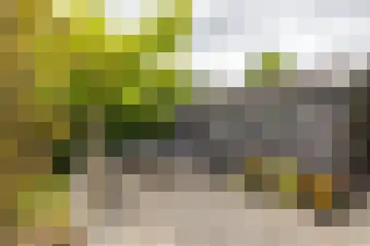 Saturnusstraat 7 Assen thumbnail 36