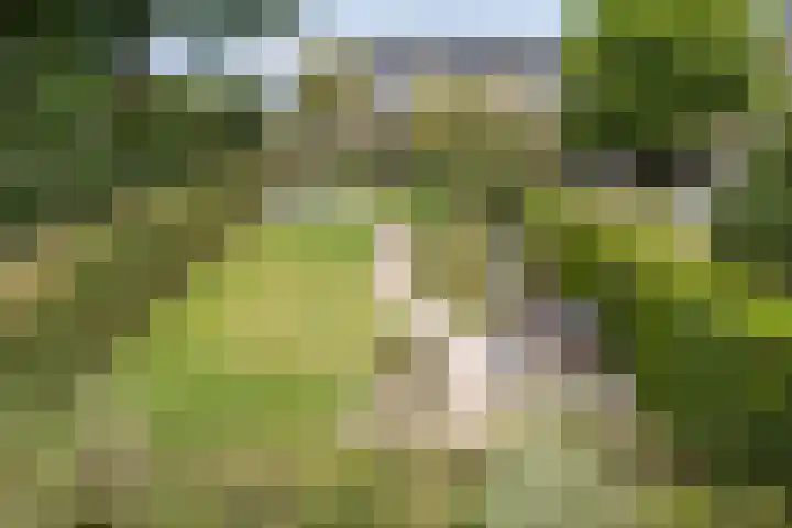 Saturnusstraat 78 Hardenberg thumbnail 35