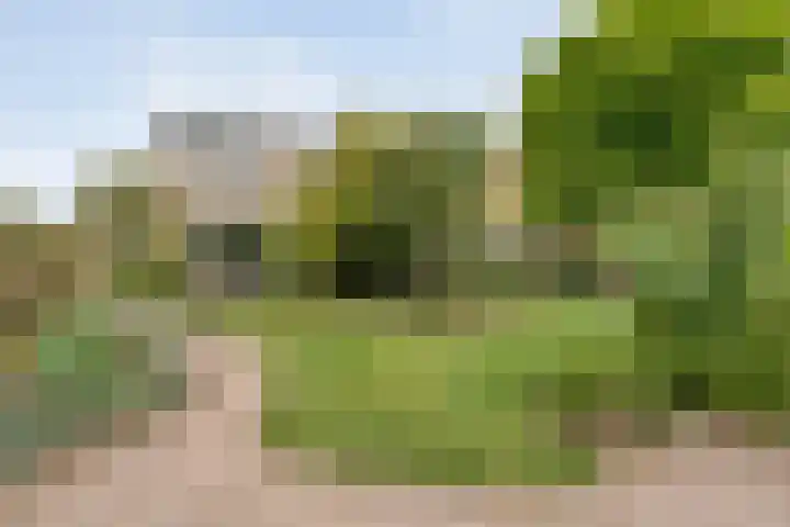 Saturnusstraat 78 Hardenberg thumbnail 36