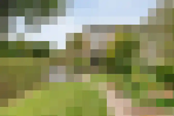 Saturnusstraat 78 Hardenberg thumbnail 37