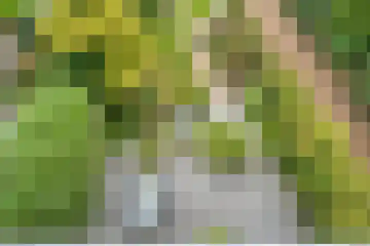 Saturnusstraat 78 Hardenberg thumbnail 39