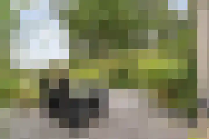 Saturnusstraat 78 Hardenberg thumbnail 42