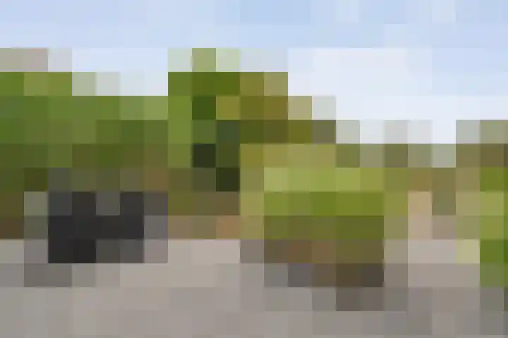 Saturnusstraat 78 Hardenberg thumbnail 43