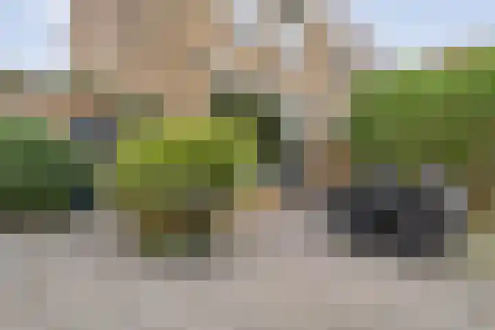 Saturnusstraat 78 Hardenberg thumbnail 44