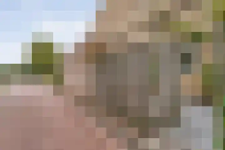 Saturnusstraat 78 Hardenberg thumbnail 46
