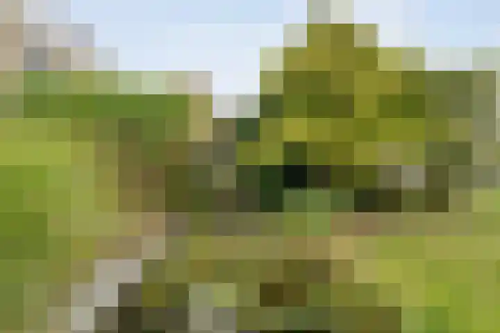 Saturnusstraat 78 Hardenberg thumbnail 47