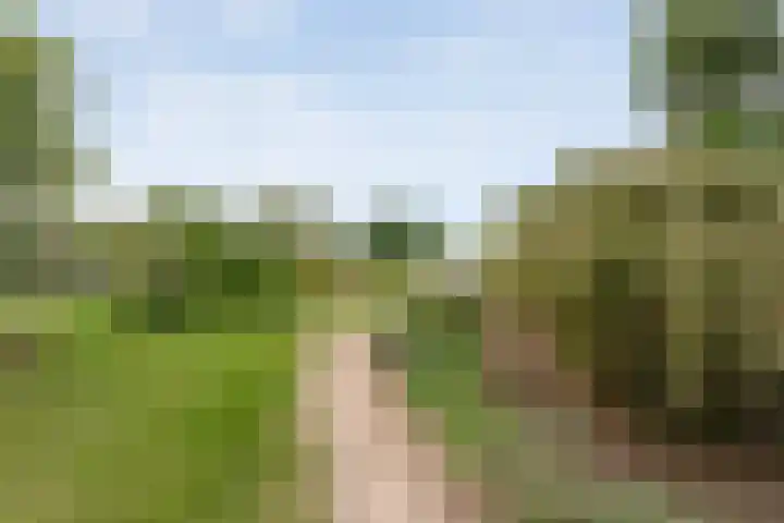 Saturnusstraat 78 Hardenberg thumbnail 48