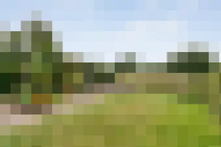 Saturnusstraat 78 Hardenberg thumbnail 49