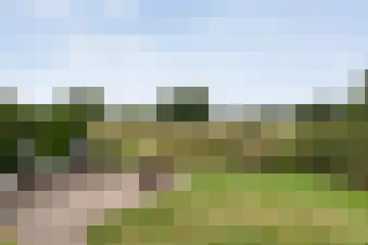 Saturnusstraat 78 Hardenberg thumbnail 50