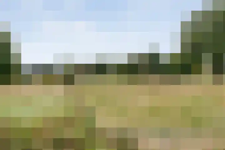 Saturnusstraat 78 Hardenberg thumbnail 51