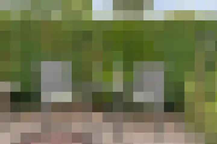 Saturnusstraat 78 Hardenberg thumbnail 52