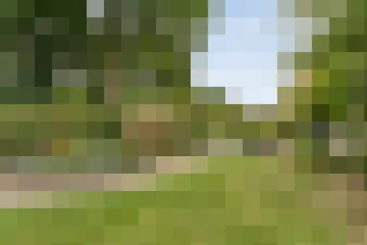 Saturnusstraat 78 Hardenberg thumbnail 53