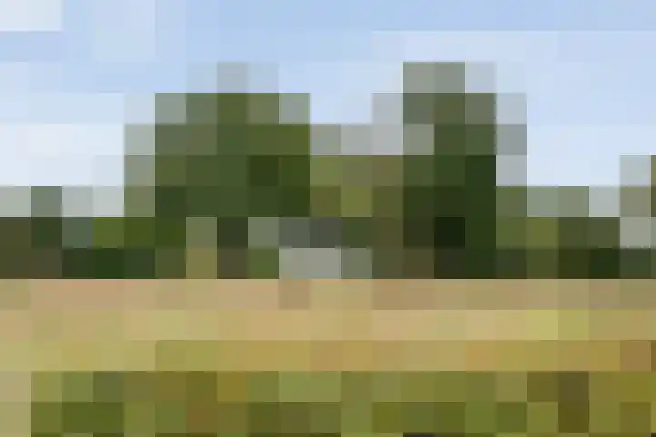 Saturnusstraat 78 Hardenberg thumbnail 55