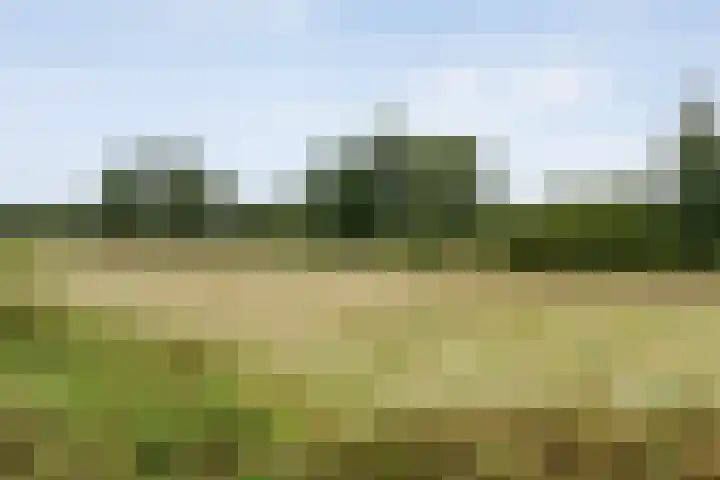Saturnusstraat 78 Hardenberg thumbnail 57