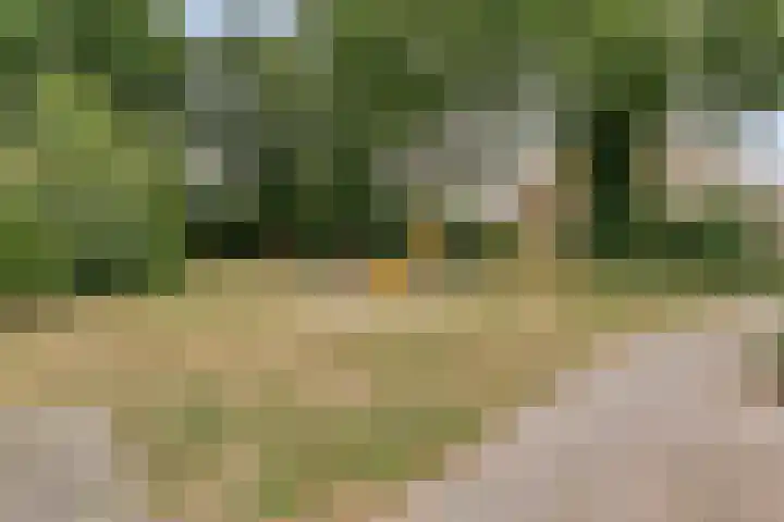 Saturnusstraat 78 Hardenberg thumbnail 60