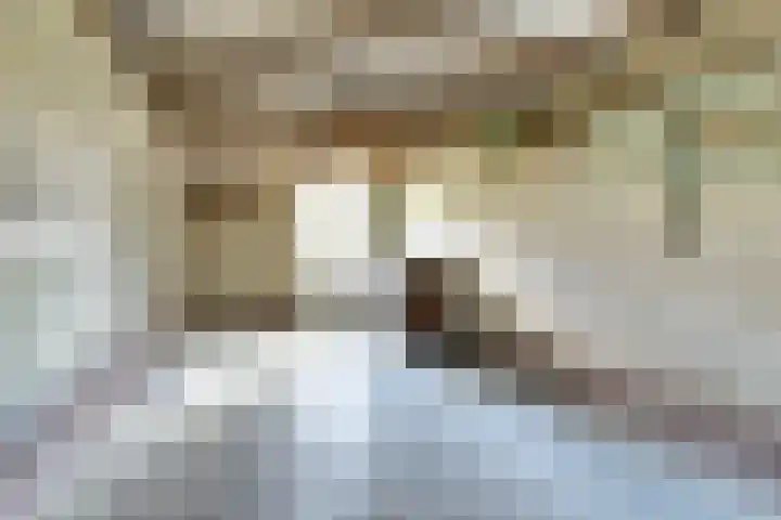Saturnusstraat 8 Hilvarenbeek thumbnail 30