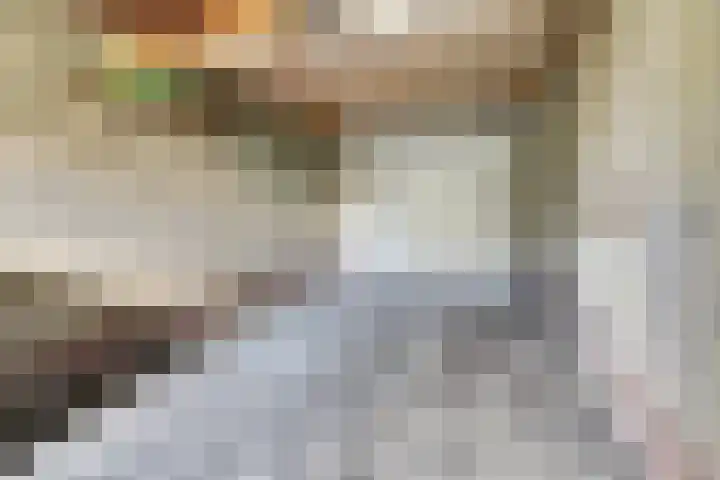 Saturnusstraat 8 Hilvarenbeek thumbnail 31