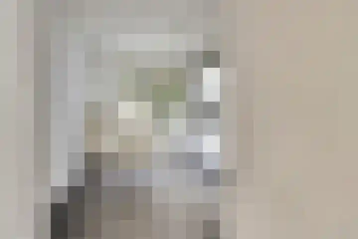 Saturnusstraat 8 Hilvarenbeek thumbnail 8
