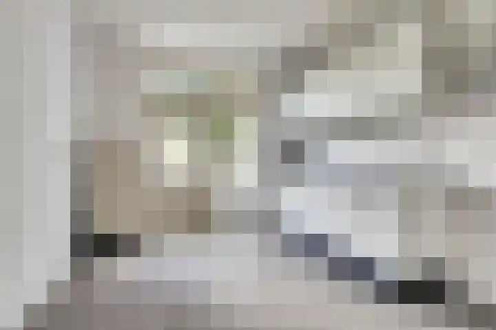 Saturnusstraat 8 Hilvarenbeek thumbnail 9