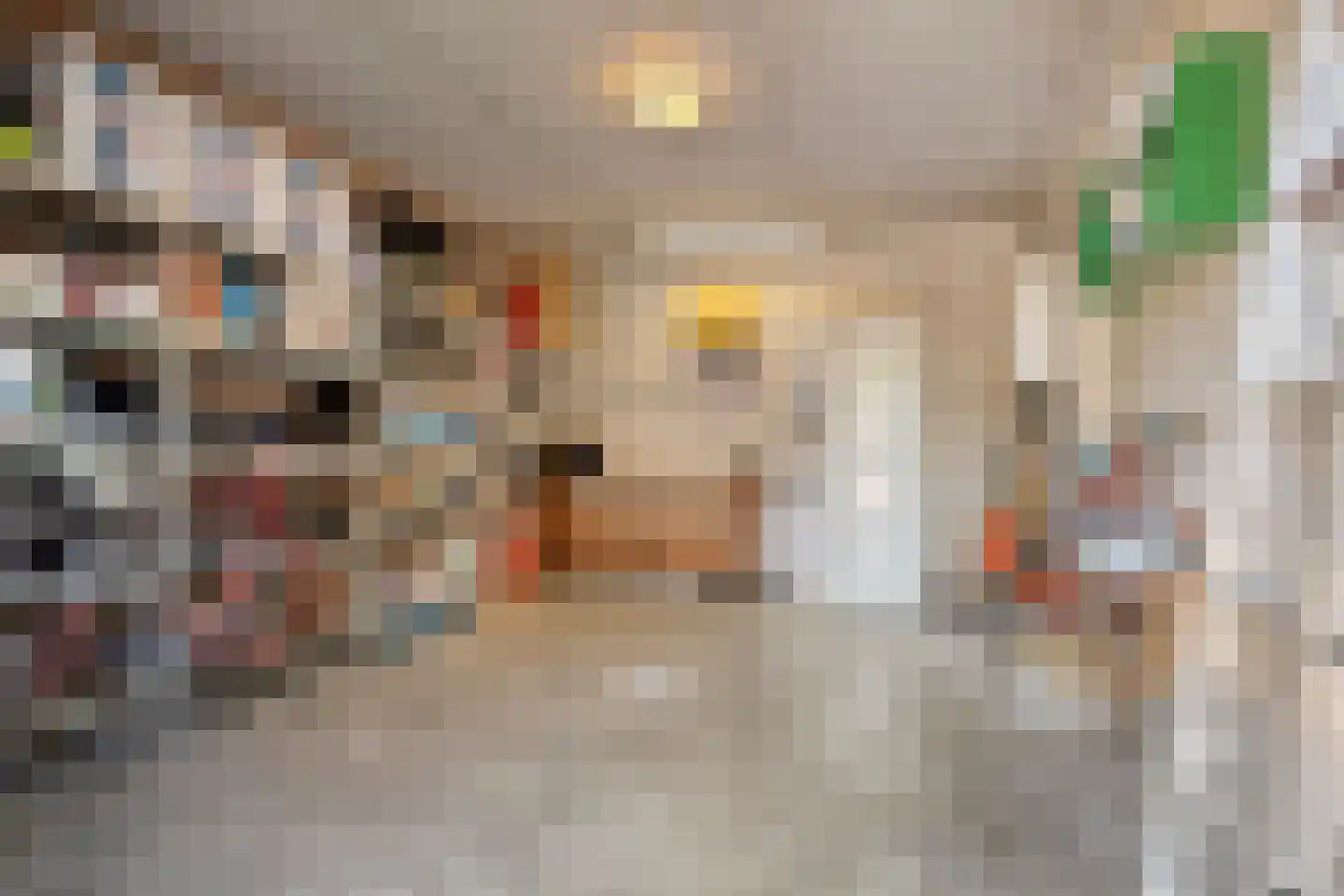 Sauerlandstraat 28 Alkmaar thumbnail 34