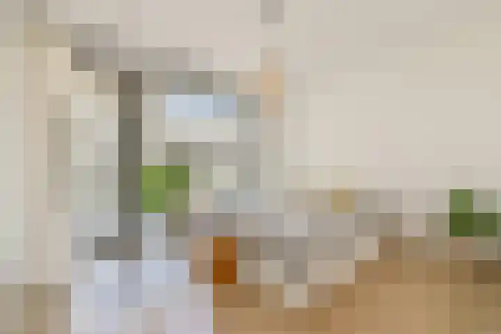 Sausalitolaan 100 Amsterdam thumbnail 12