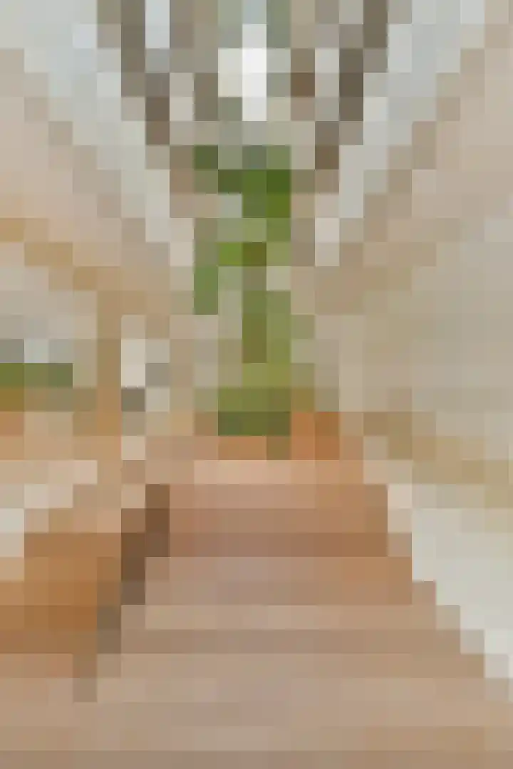 Sausalitolaan 100 Amsterdam thumbnail 18