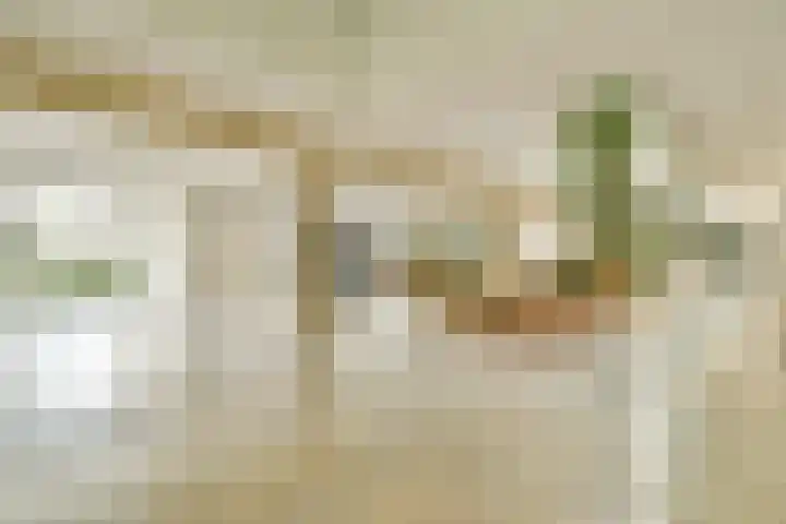 Sausalitolaan 100 Amsterdam thumbnail 19