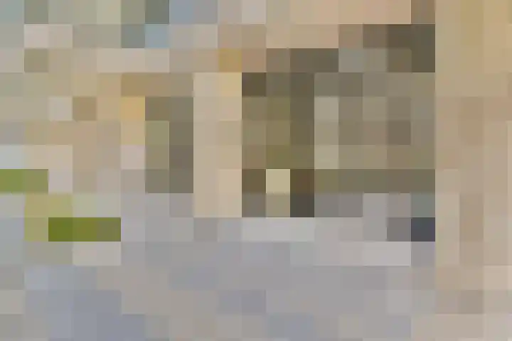 Sausalitolaan 100 Amsterdam thumbnail 5
