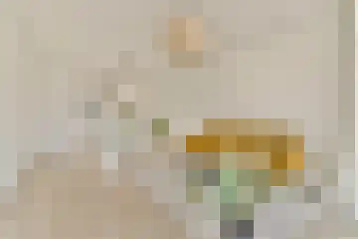 Sausalitolaan 100 Amsterdam thumbnail 8