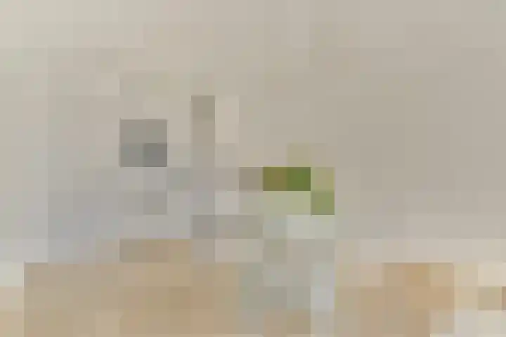Sausalitolaan 100 Amsterdam thumbnail 9