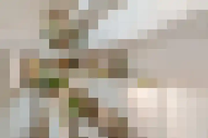 Sausalitolaan 106 Amsterdam thumbnail 25