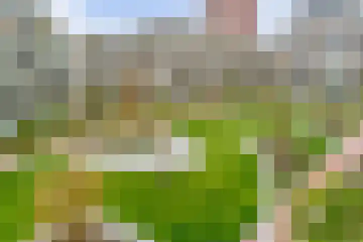 Sausalitolaan 106 Amsterdam thumbnail 26