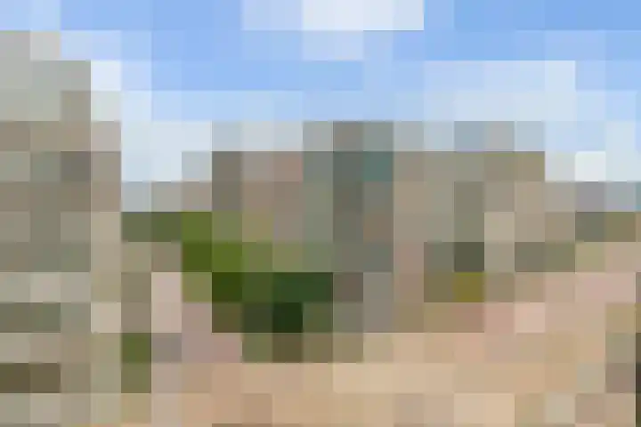Sausalitolaan 106 Amsterdam thumbnail 28