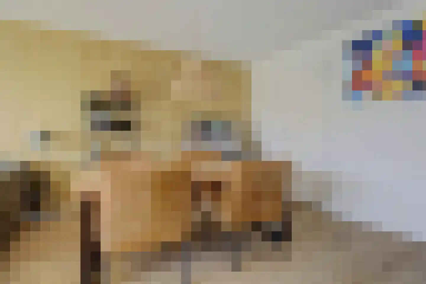 Sausalitolaan 116 Amsterdam thumbnail 10