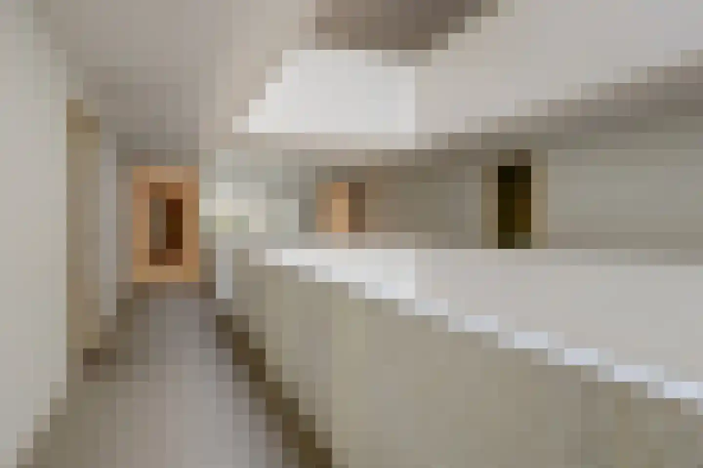 Sausalitolaan 116 Amsterdam thumbnail 32