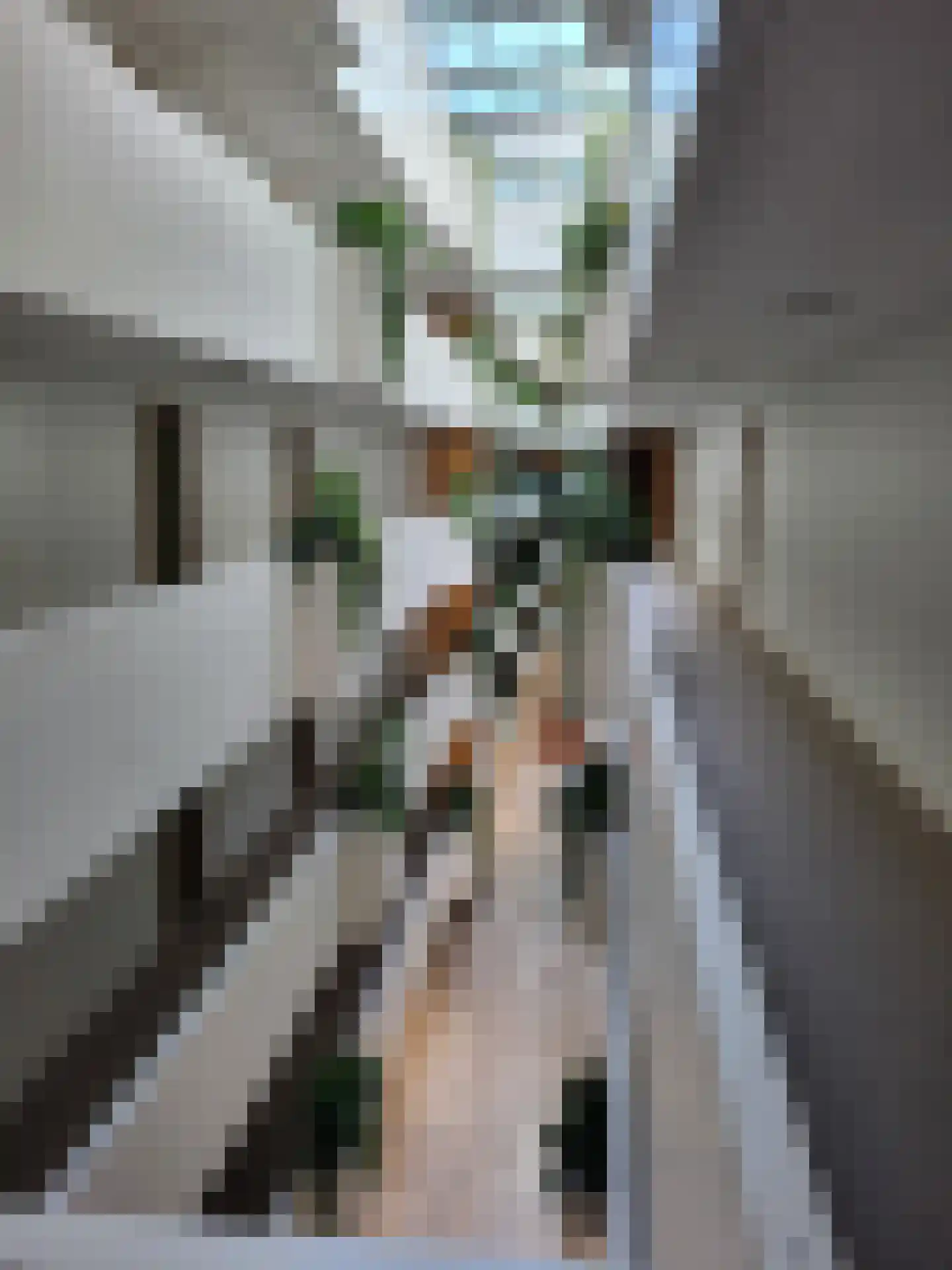 Sausalitolaan 116 Amsterdam thumbnail 33