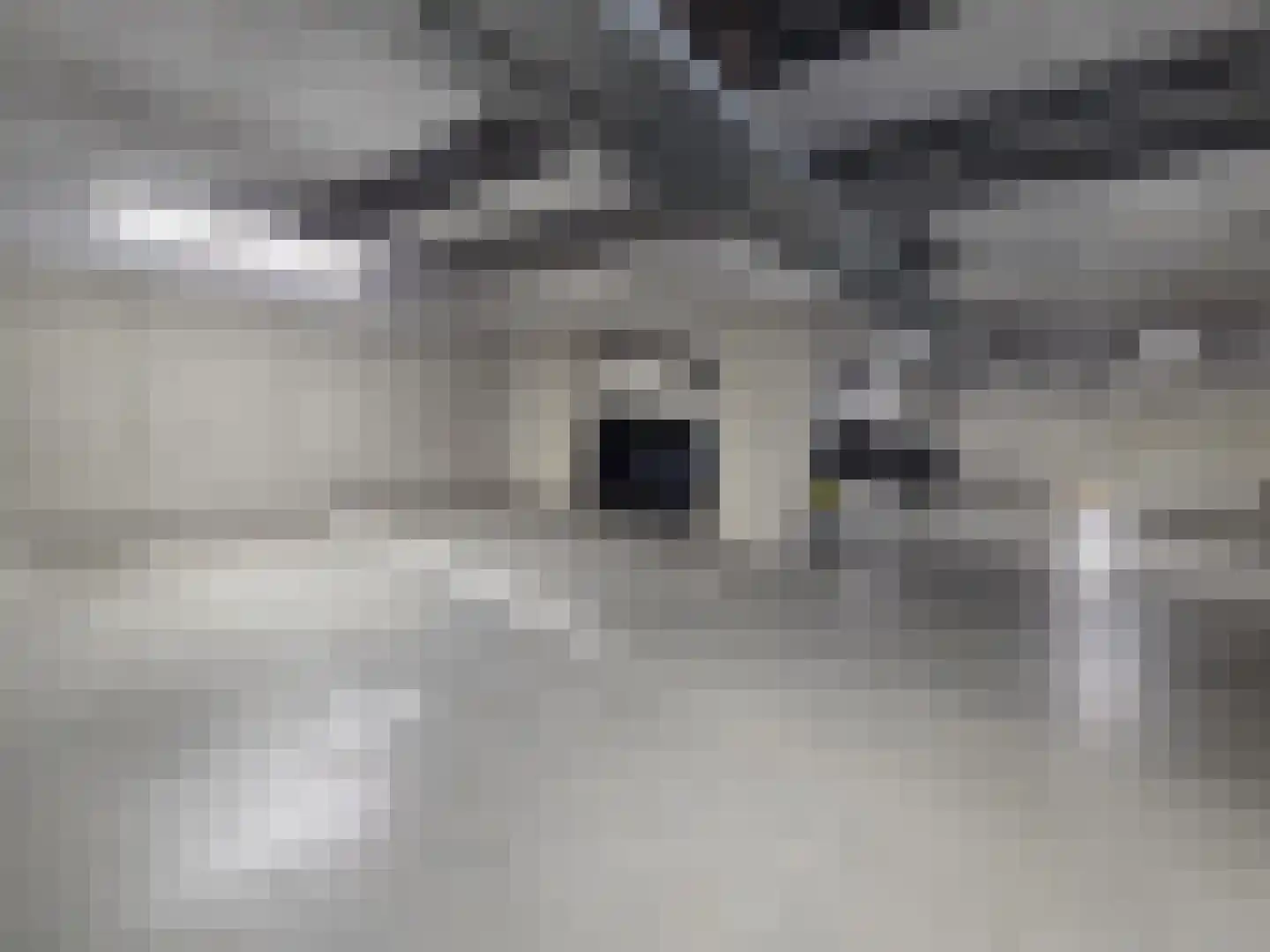 Sausalitolaan 116 Amsterdam thumbnail 37