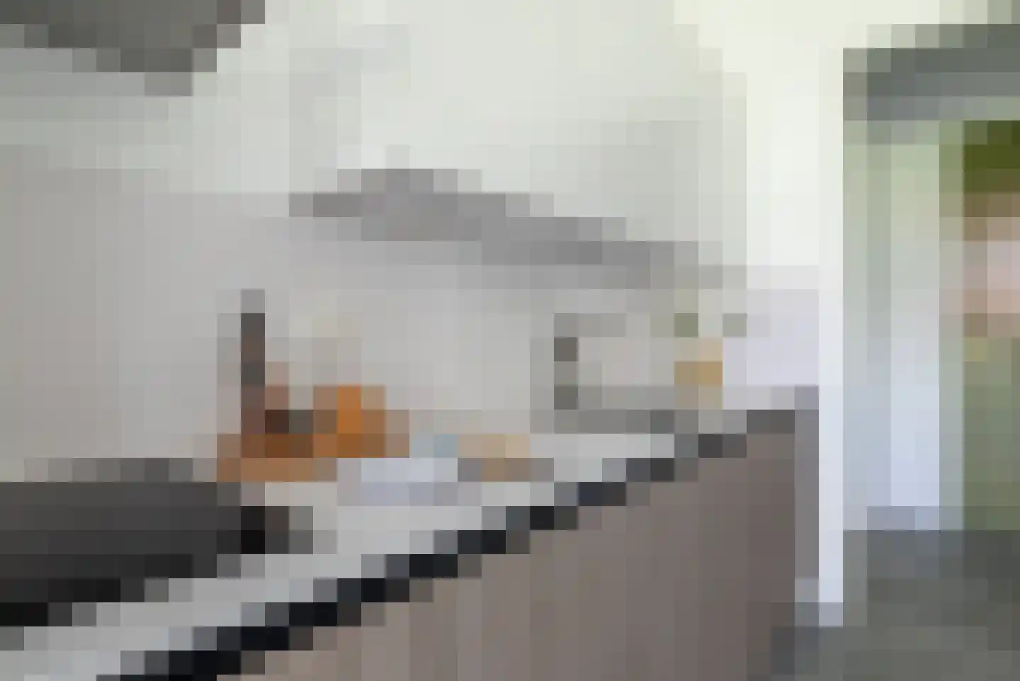 Sausalitolaan 22 Amsterdam thumbnail 11