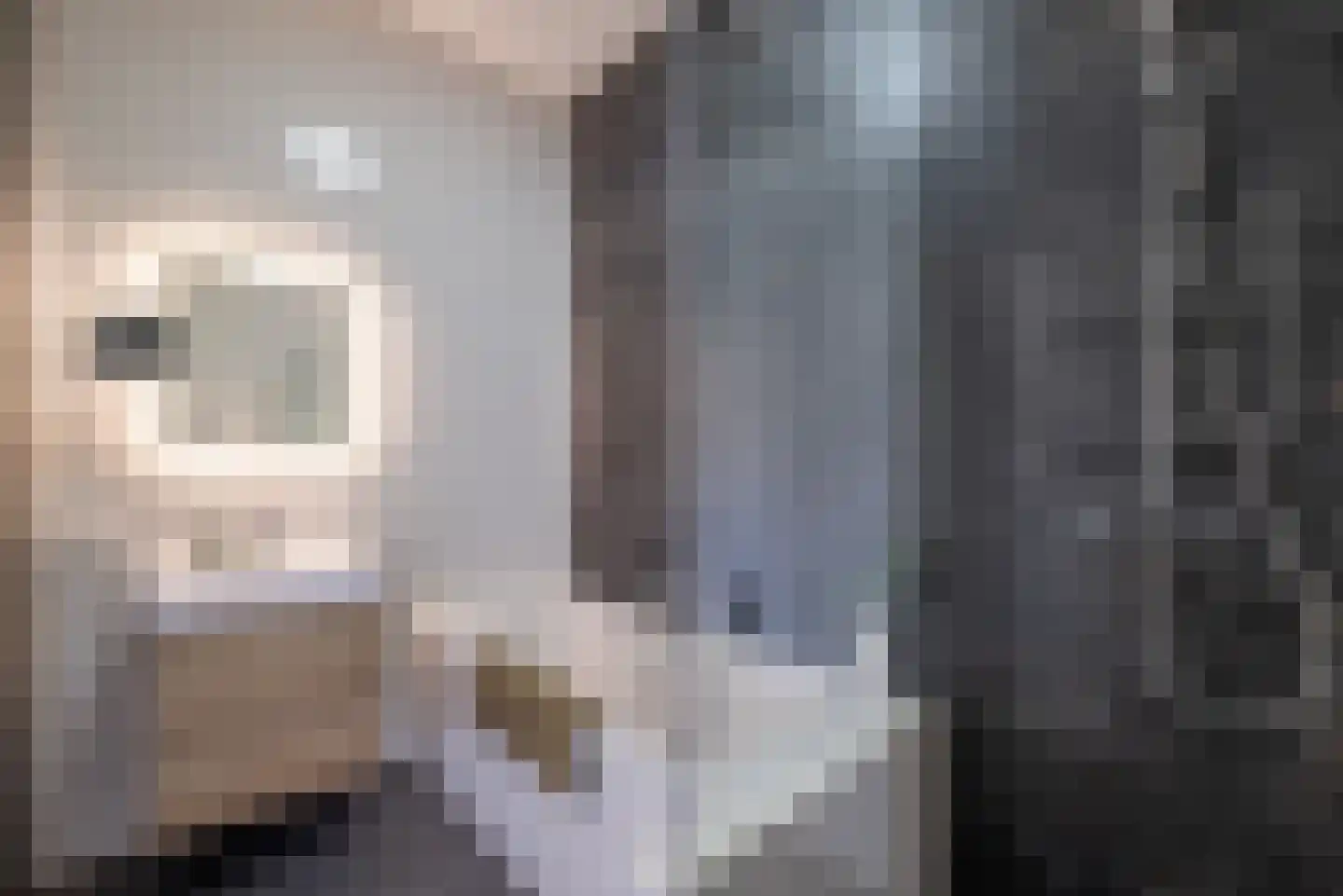Sausalitolaan 22 Amsterdam thumbnail 24