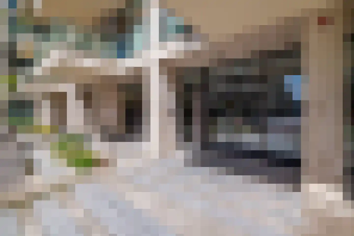 Sausalitolaan 22 Amsterdam thumbnail 41